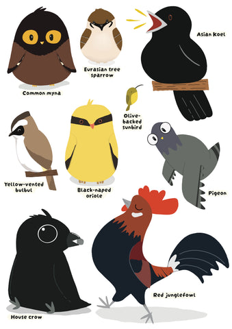 Birds Next Door (Customisable with your Spirit Bird)