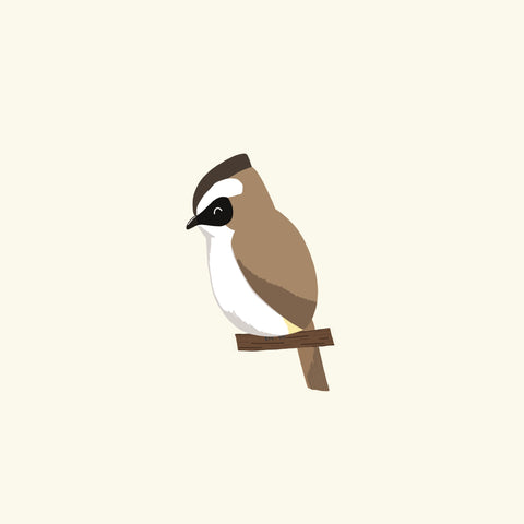 Birds Next Door (Customisable with your Spirit Bird)